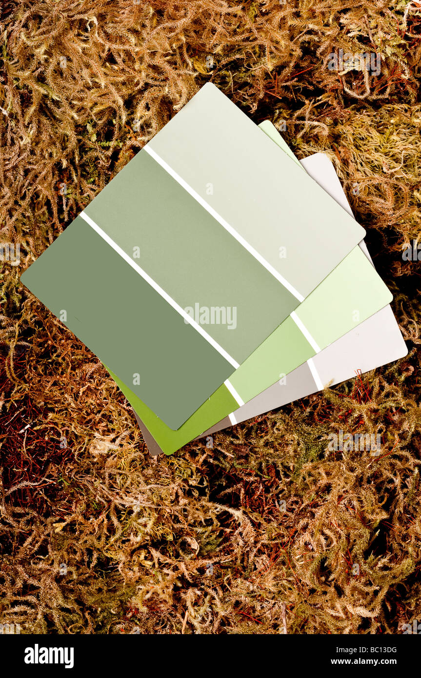 image of color paint chips on a moss background Stock Photo