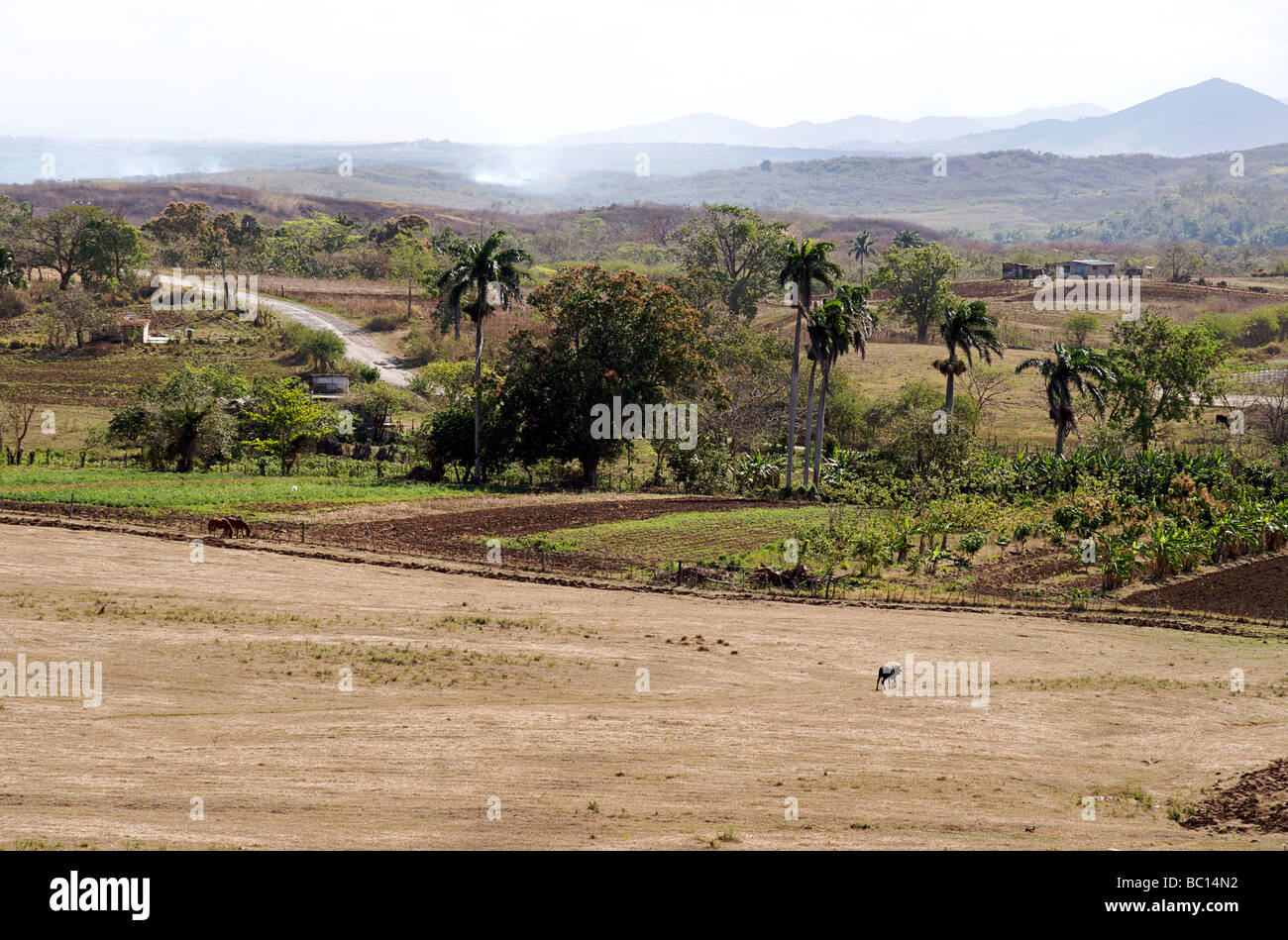 Rural countryside north of Trinidad, Cuba Stock Photo
