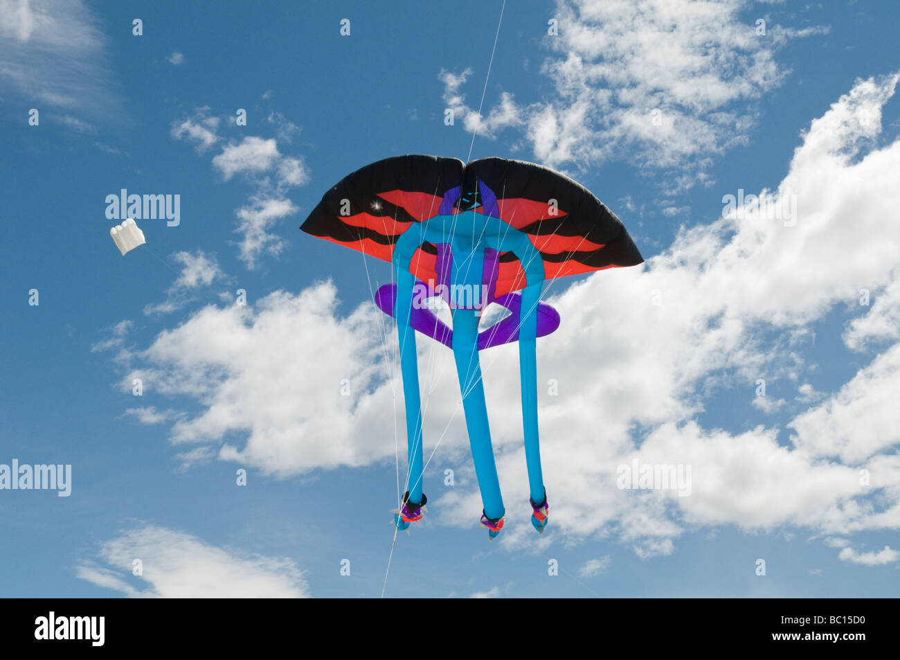 Giant ray ? kite Stock Photo Alamy