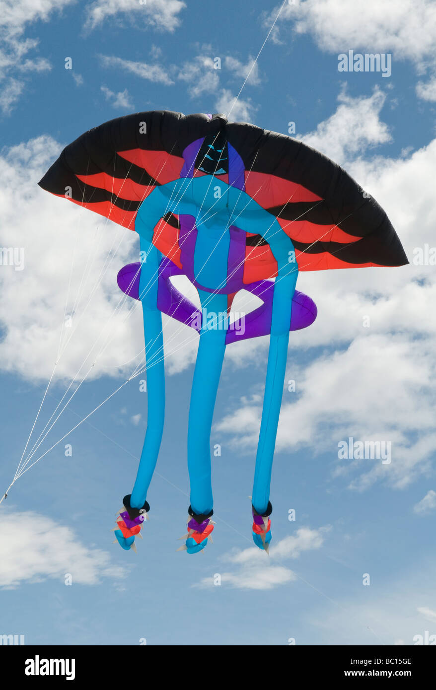 Giant ray ? kite Stock Photo Alamy
