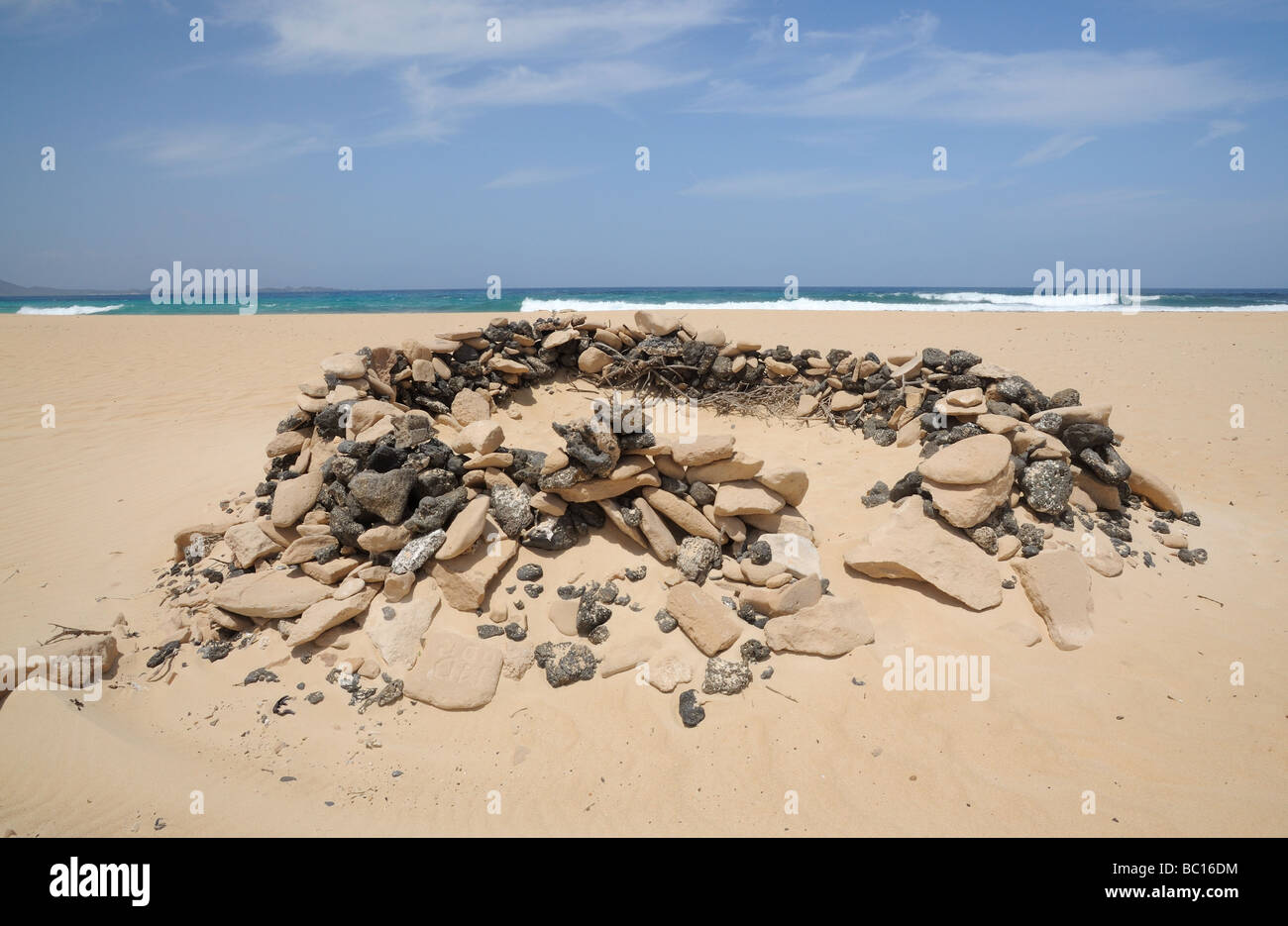 Windbreak on the beach of Fuerteventura, Spain Stock Photo