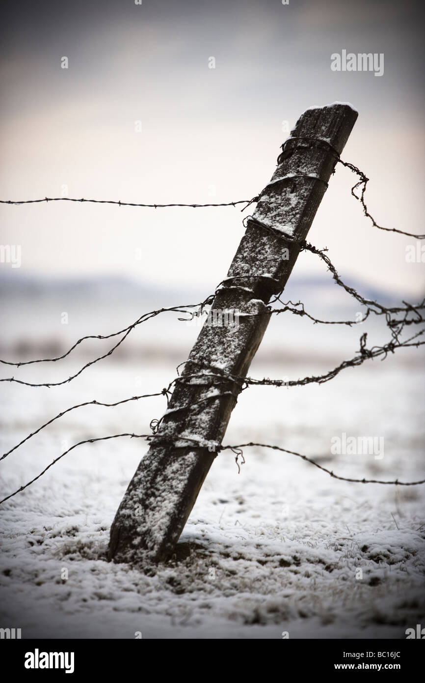Old fence post and barbed wire in the snow. Stock Photo