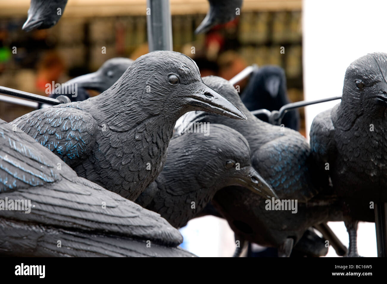 Crow Decoys for sale at the Welsh game Fair 2009 Stock Photo Alamy