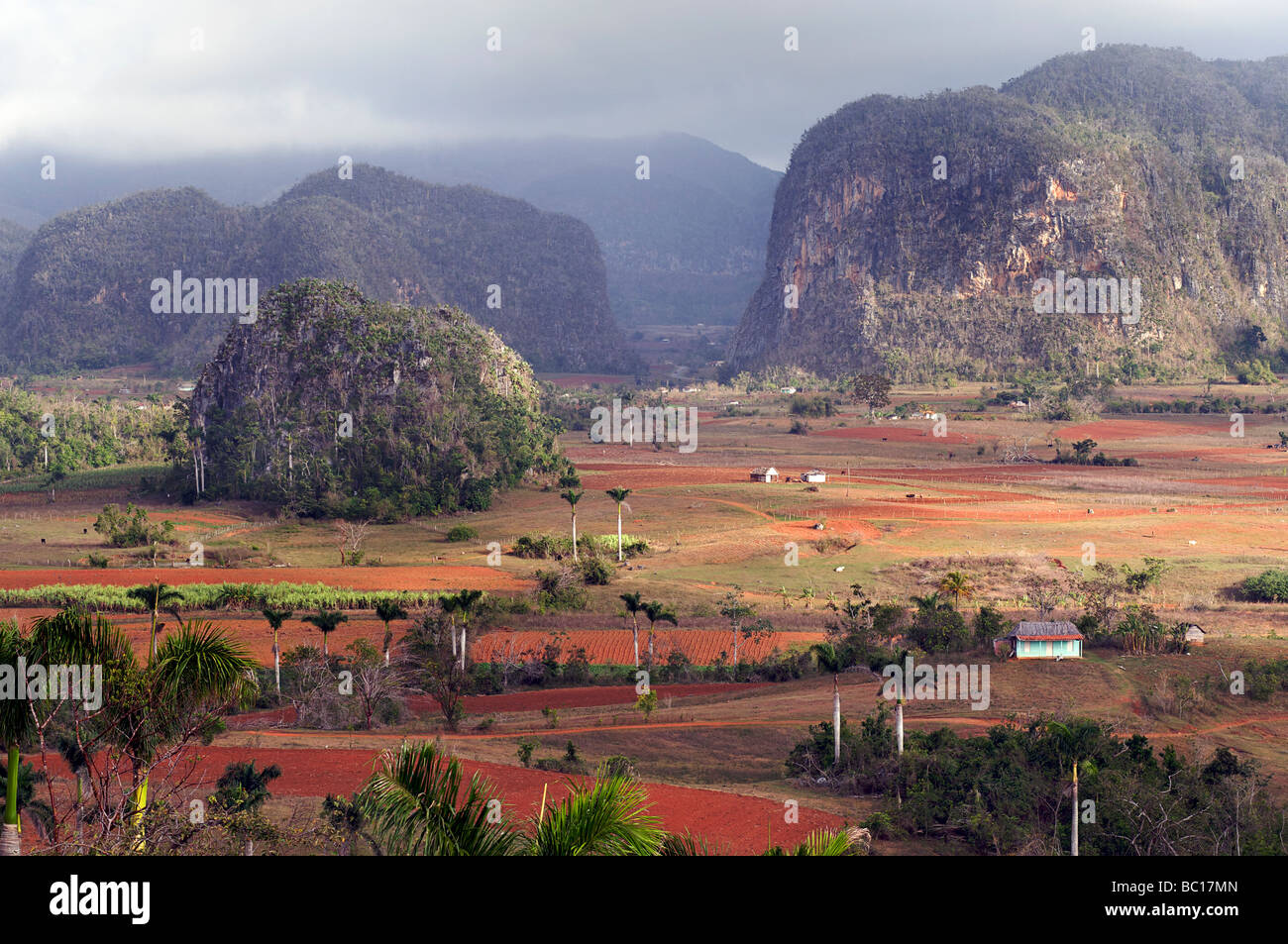 View across the landscpae of Viñales valley, Pinar del Rio Province, Cuba Stock Photo