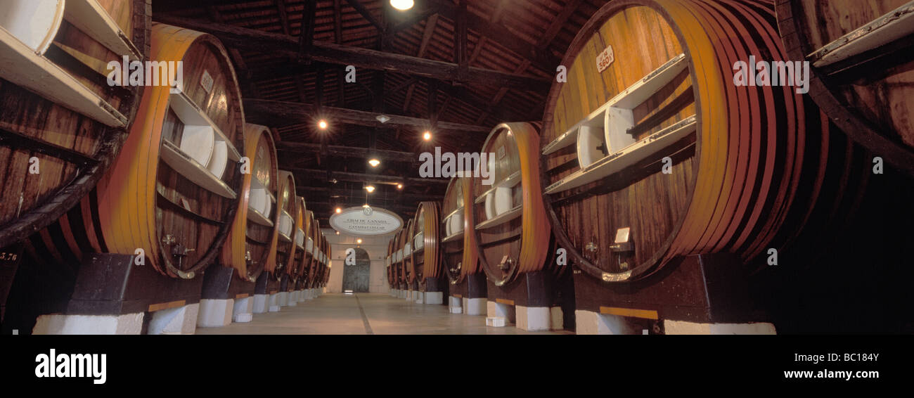 France, Herault, Marseillan, Chais de Noilly Prat, dry vermouth Stock Photo