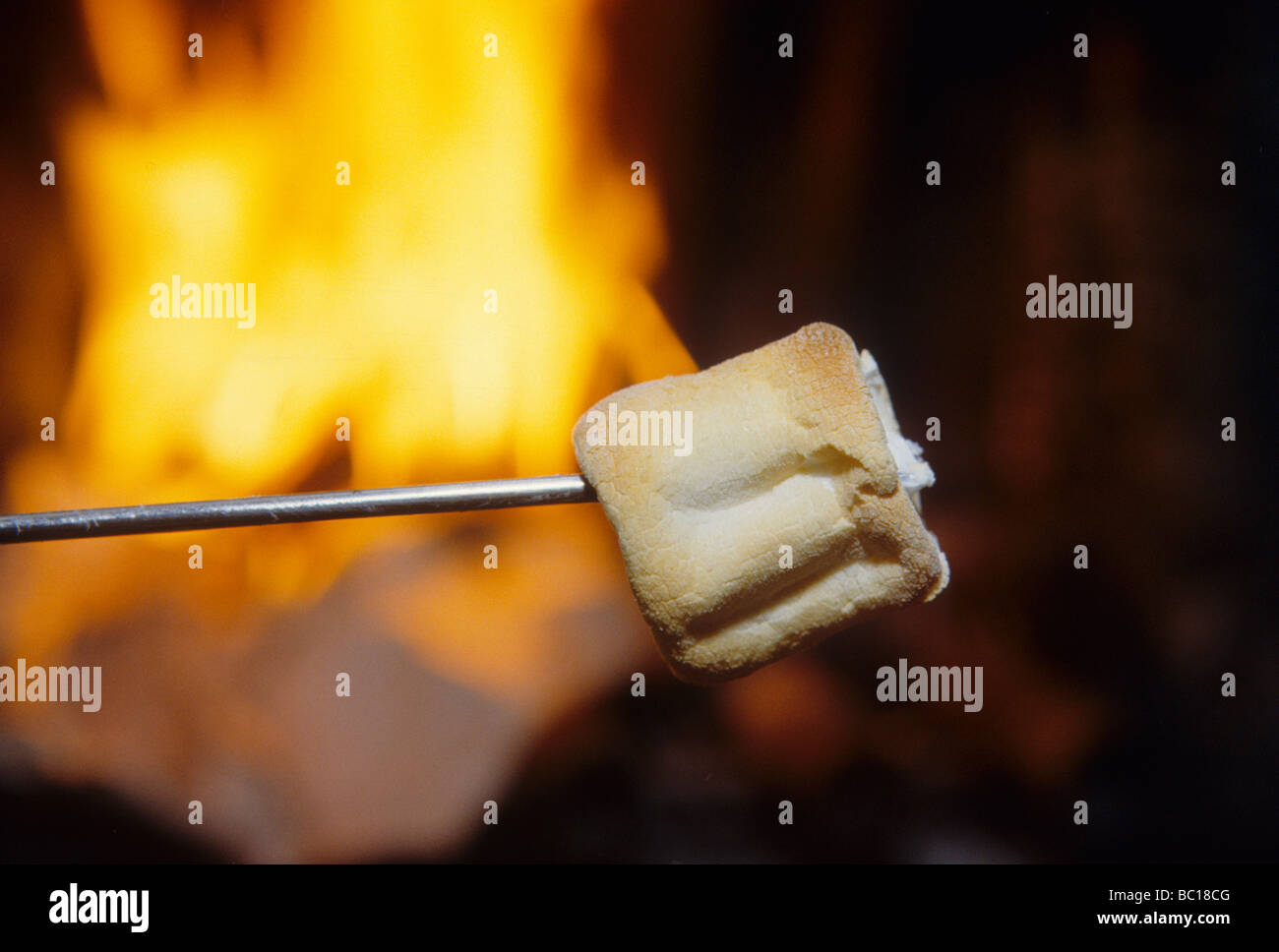 toast marshmallow candy fire camp food recreation fun taste tradition