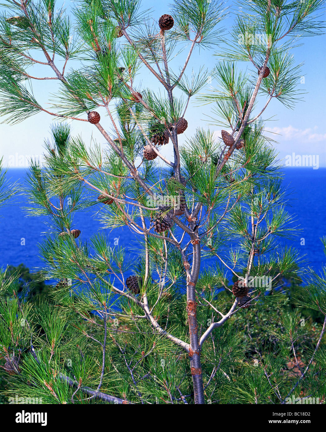 High resolution sea hi-res stock photography and images - Alamy