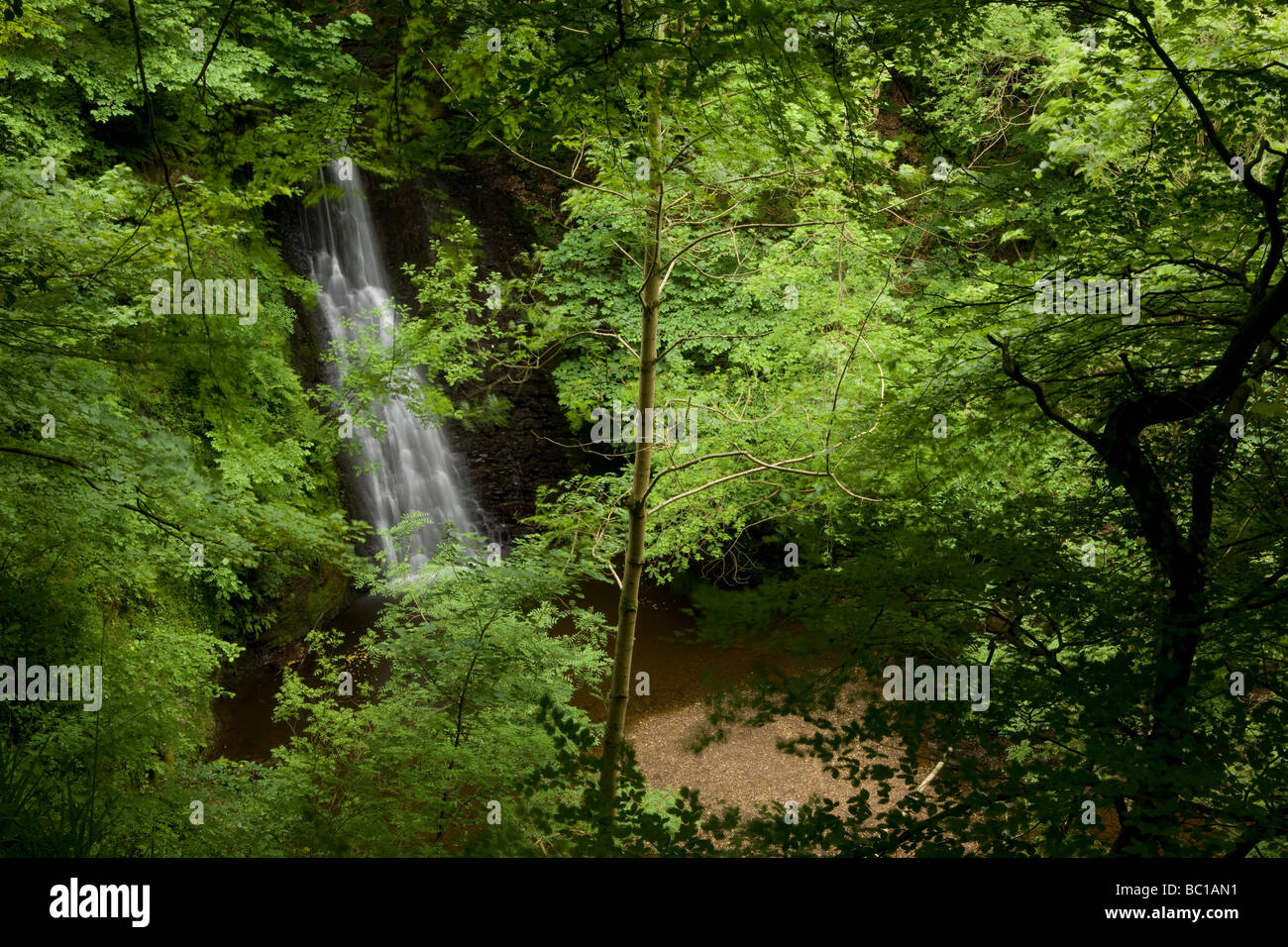 Falling Foss waterfall in Sneaton Forest in the North Yorkshire Dales Stock Photo