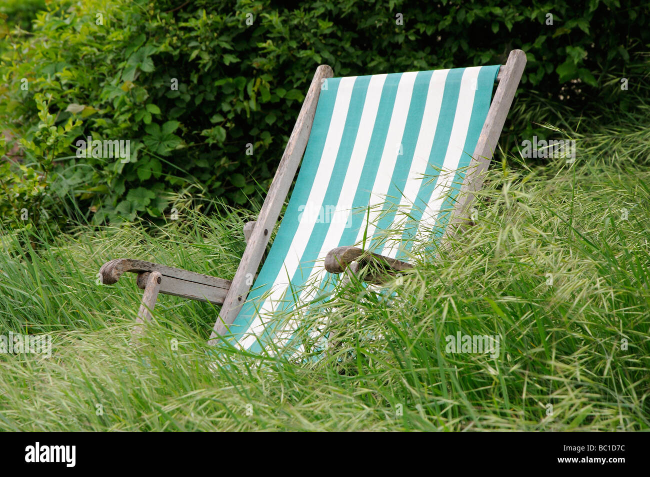 Deck chair surrounded by overgrown grass Stock Photo