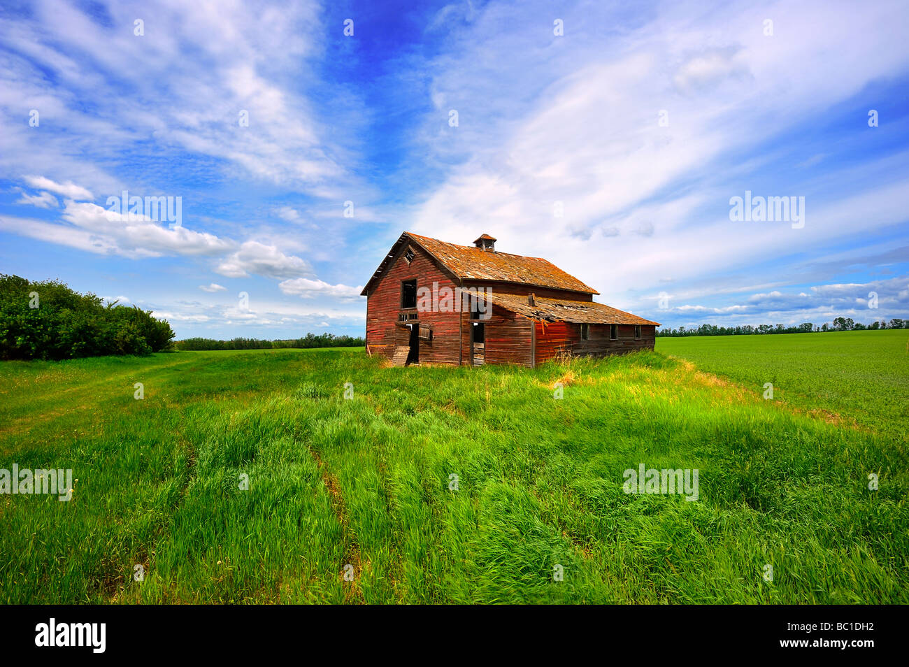 a scenic of an abandoned red barn rural Alberta Canada Stock Photo Alamy