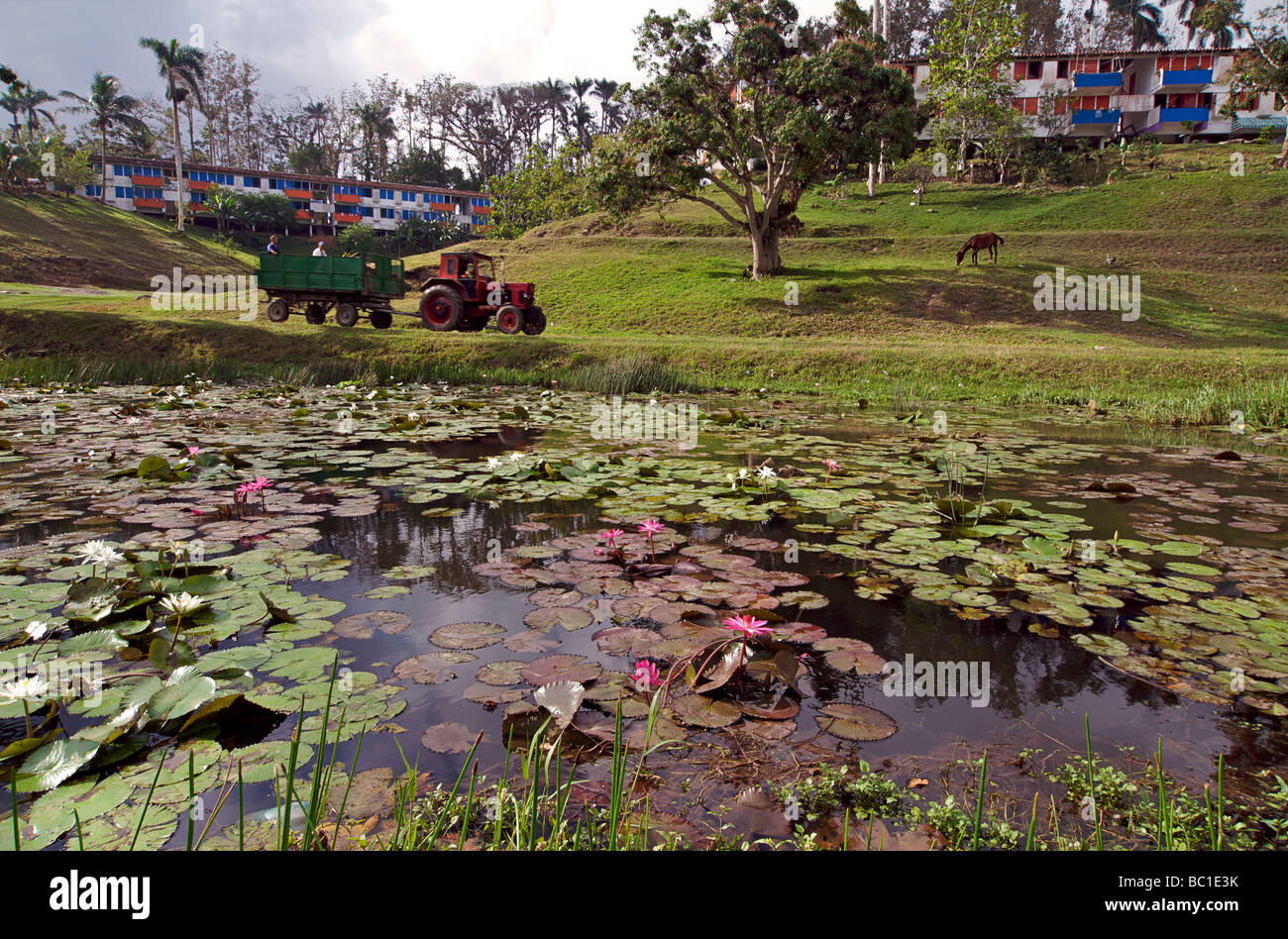 Cuba09300 52mb8bit hi-res stock photography and images - Alamy