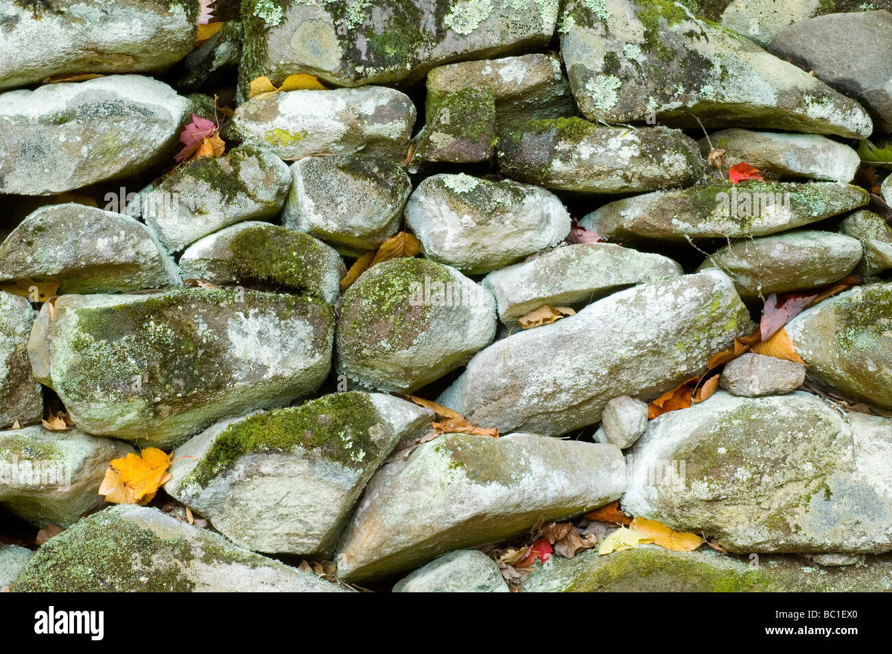 Stone wall built in the early 1800 s in Great Smoky Mountains National Park Stock Photo