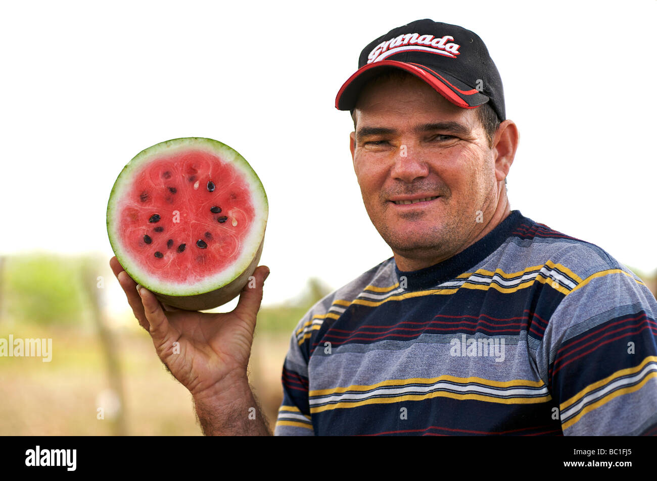 Guys Slicing Watermelon To Sell at Their Vendor at Galata District of  Istanbul Editorial Stock Photo - Image of knife, seller: 65970078