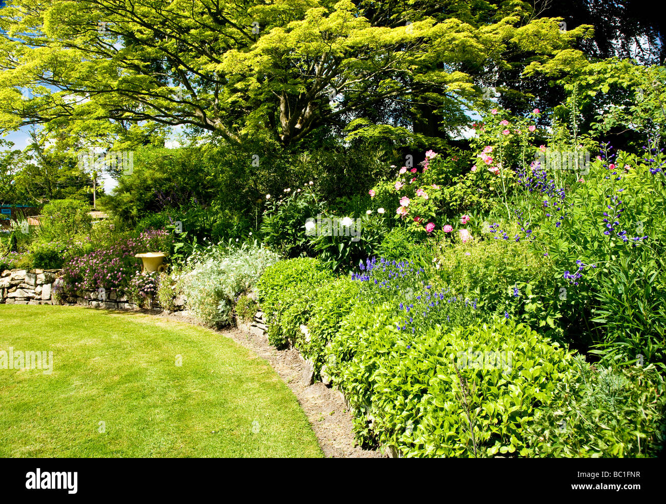 Herbaceous Border at Broadleas Garden Devizes Wiltshire England UK Stock Photo