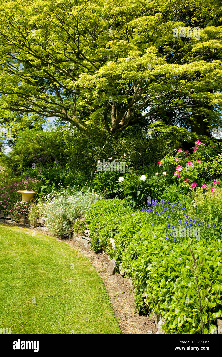 Curved garden border hi-res stock photography and images - Alamy