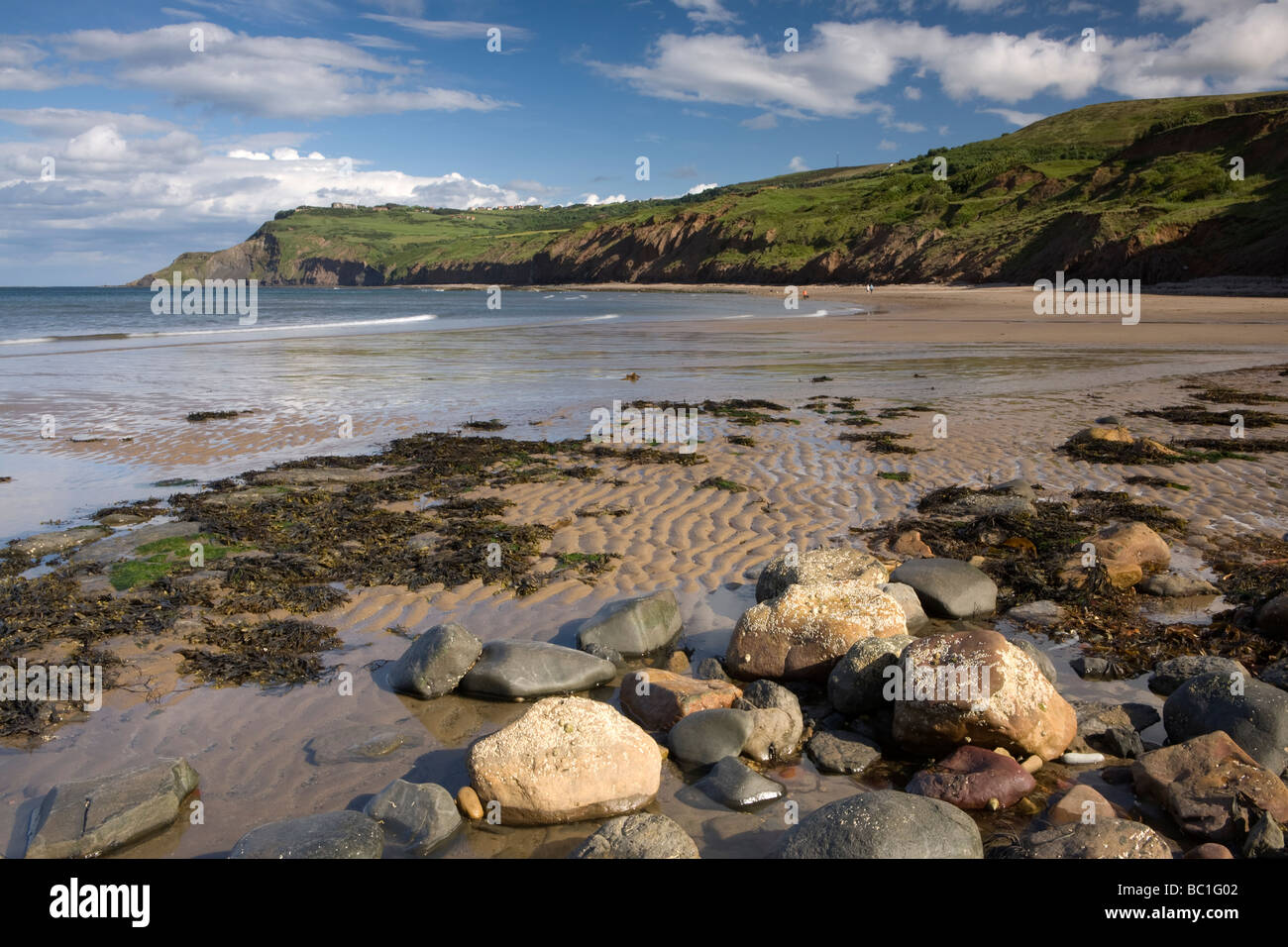 The beach and cliffs at Ravenscar on the North Yorkshire Coast Stock Photo