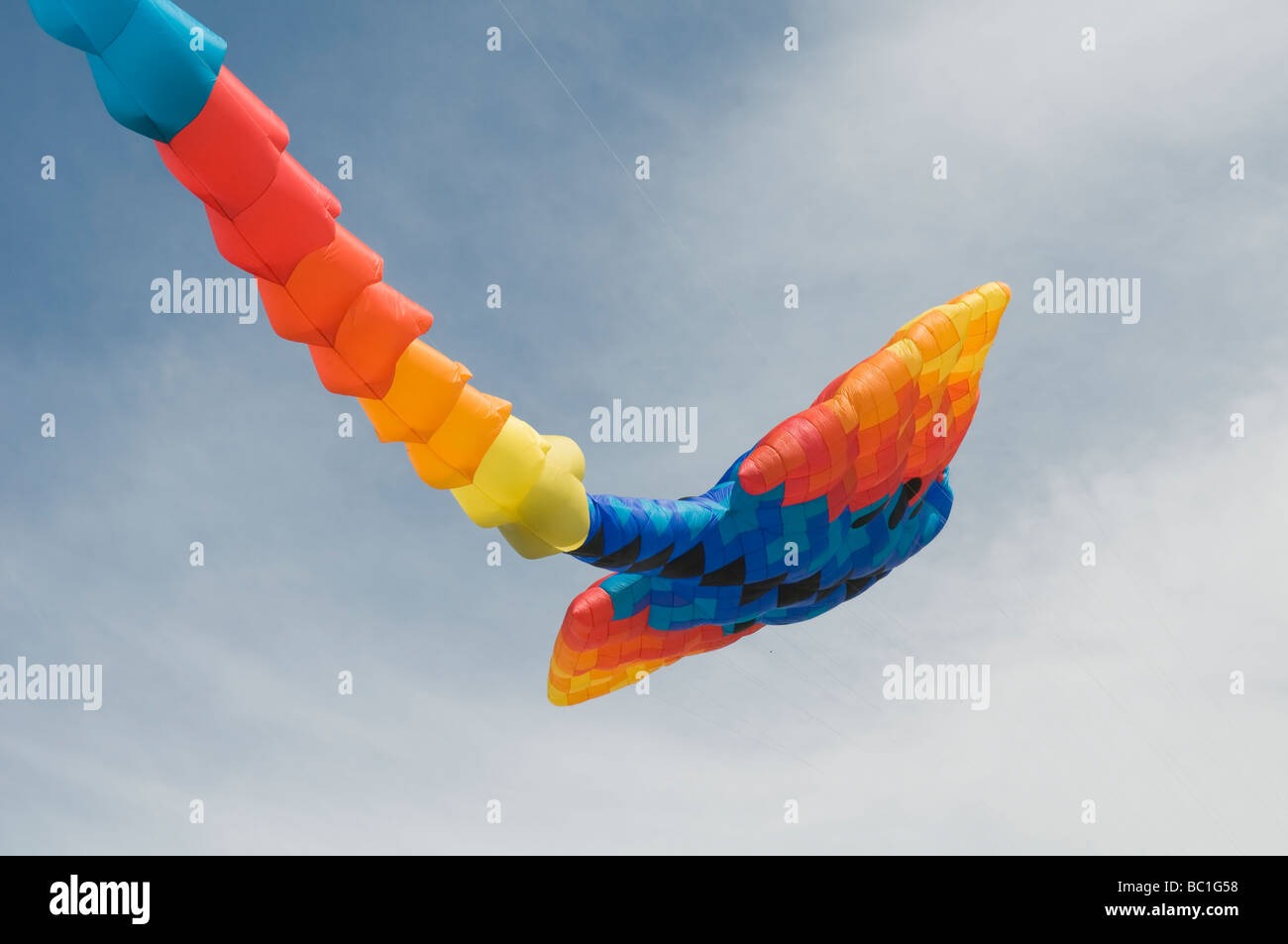 Giant manta ray kite Stock Photo Alamy