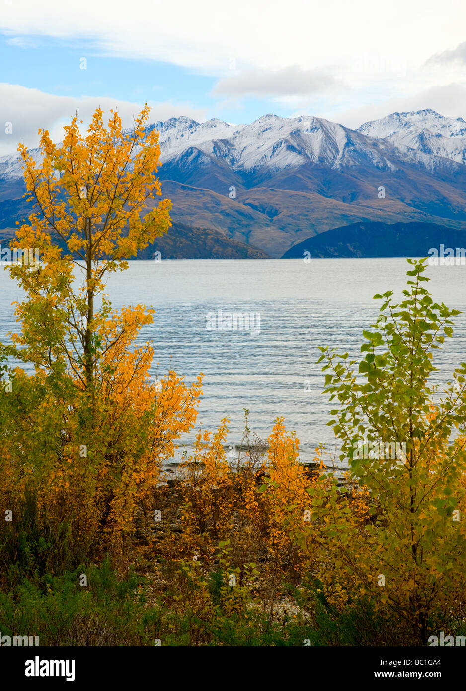 Lake Wanaka Otago South Island New Zealand Stock Photo - Alamy