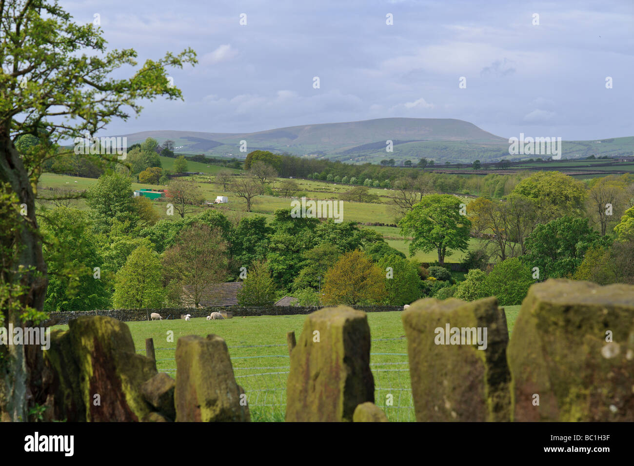 Stone fence over the dales in Wycoller Lancashire Stock Photo