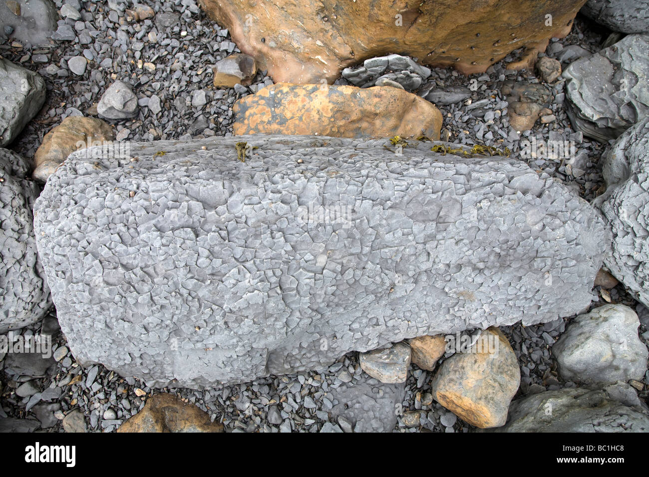 Geology on the North Yorkshire Coast, England Stock Photo Alamy