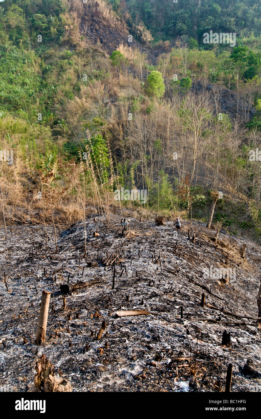 bangladesh surrounding of bandarban tripura tribe Stock Photo