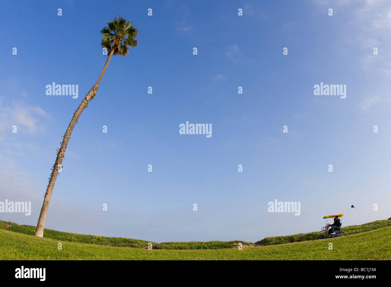 Santa Barbara, California Palm Tree & Bikers Stock Photo