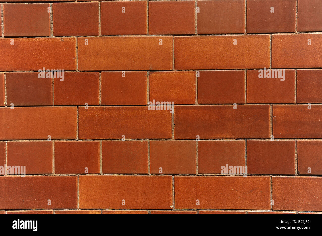 Victorian tiled brickwork brick wall in English Cross or Dutch Patternuk Stock Photo
