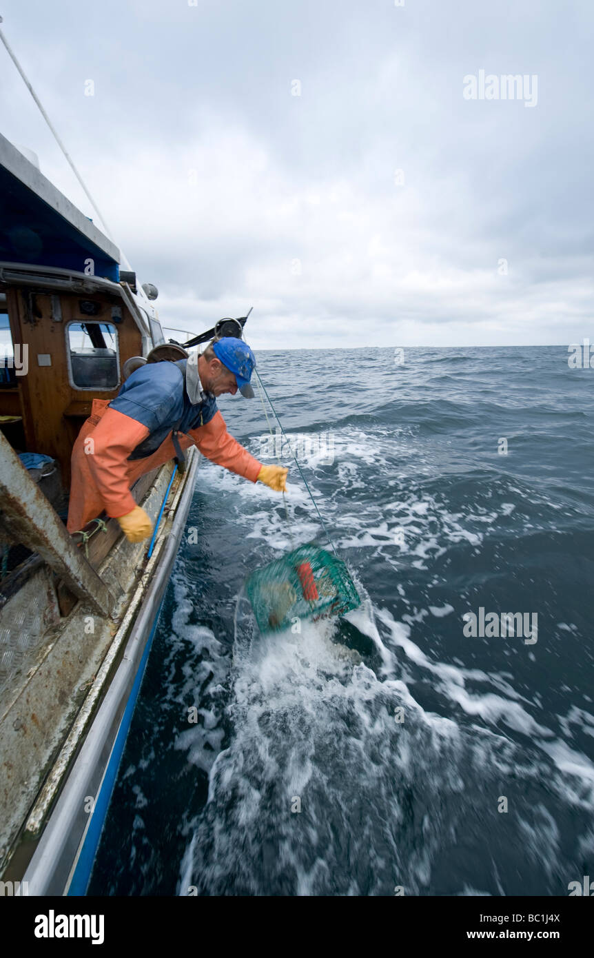 crayfish fishing with pots, Sweden Stock Photo