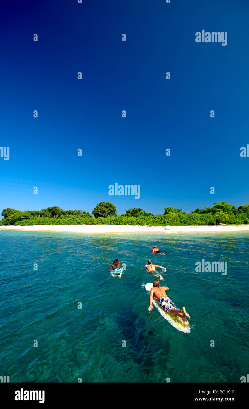 Haiti, Nord, Cap Haitien. Surfers, La Amiga Island, off north coast. Stock Photo