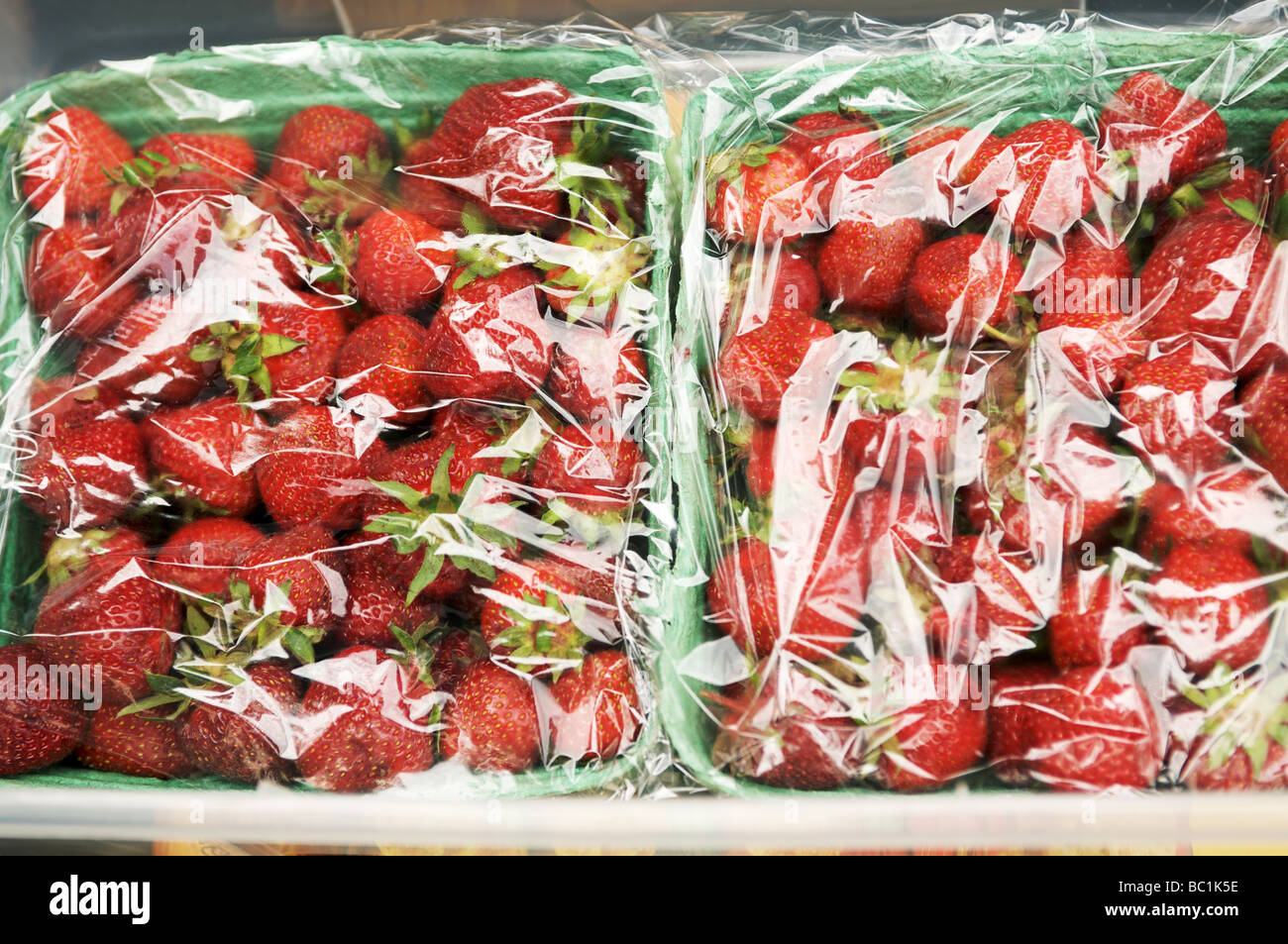 Plastic covered strawberries Stock Photo