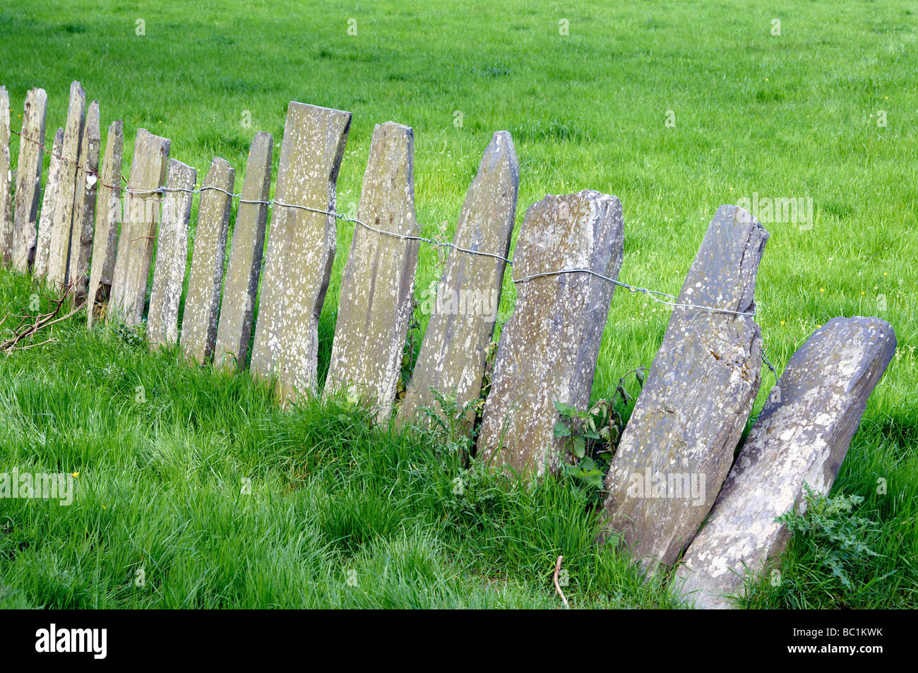 Traditional slate fencing on farmland near Tywyn, Wales Stock Photo Alamy