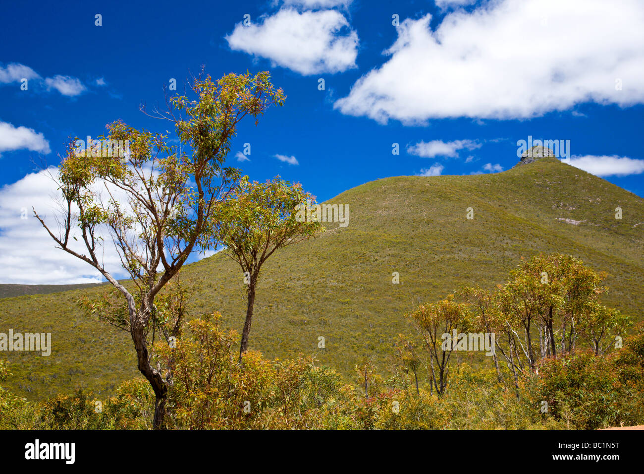 Mt Hassell Stirling Range National Park Western Australia Stock Photo