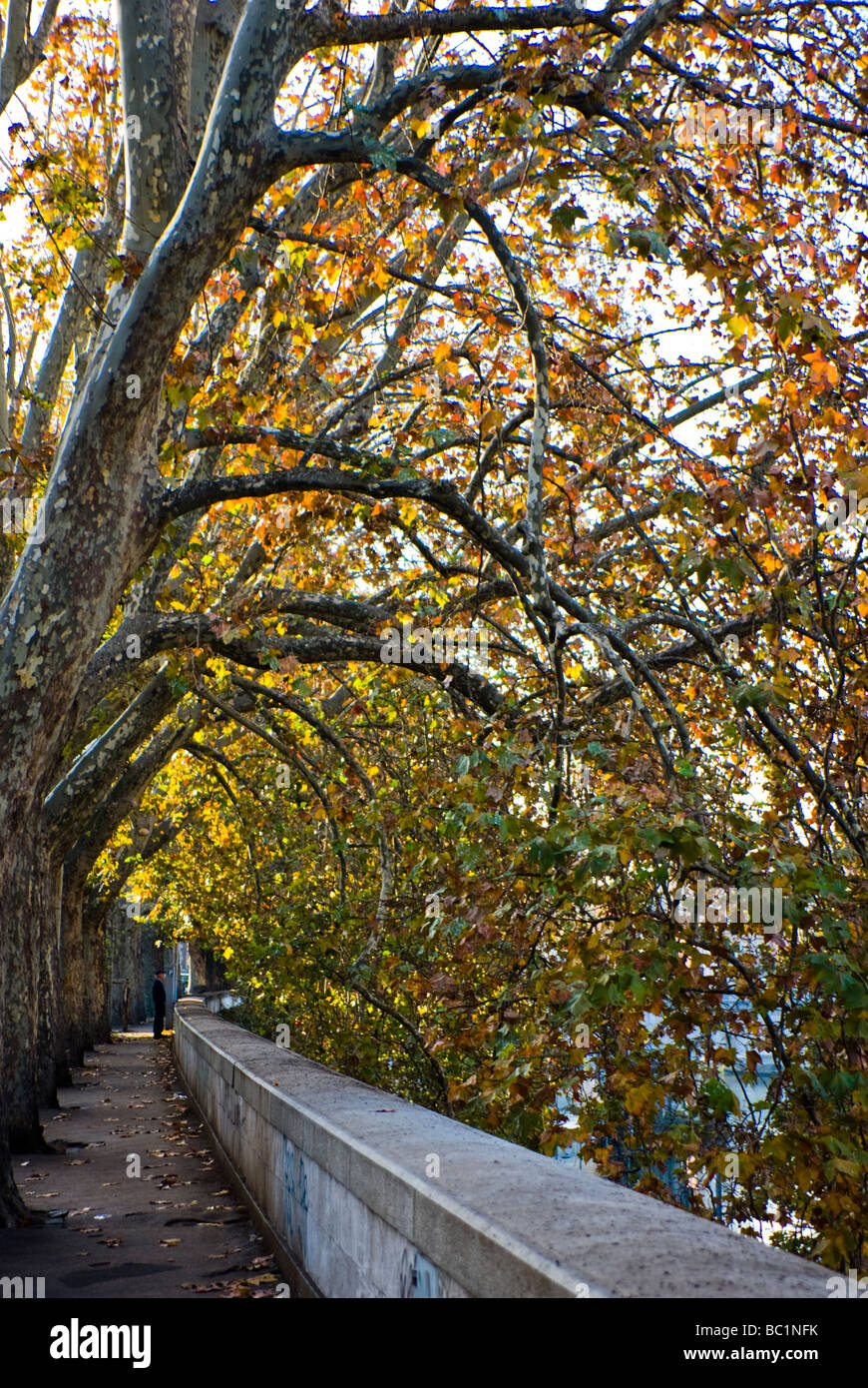 Walkway with Fall Foliage, Rome Italy Stock Photo
