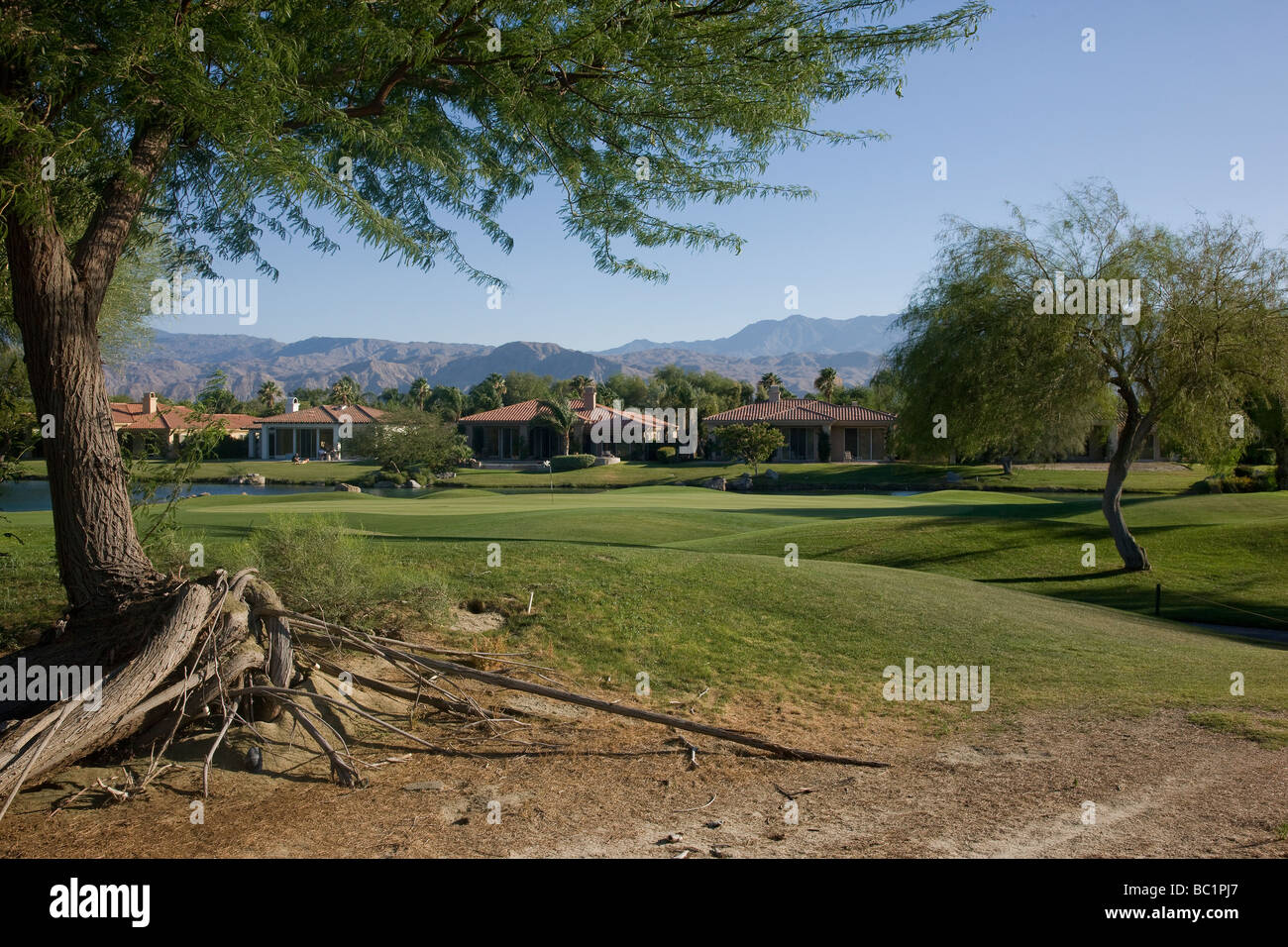 Gary Player Course, Mission Hills Stock Photo