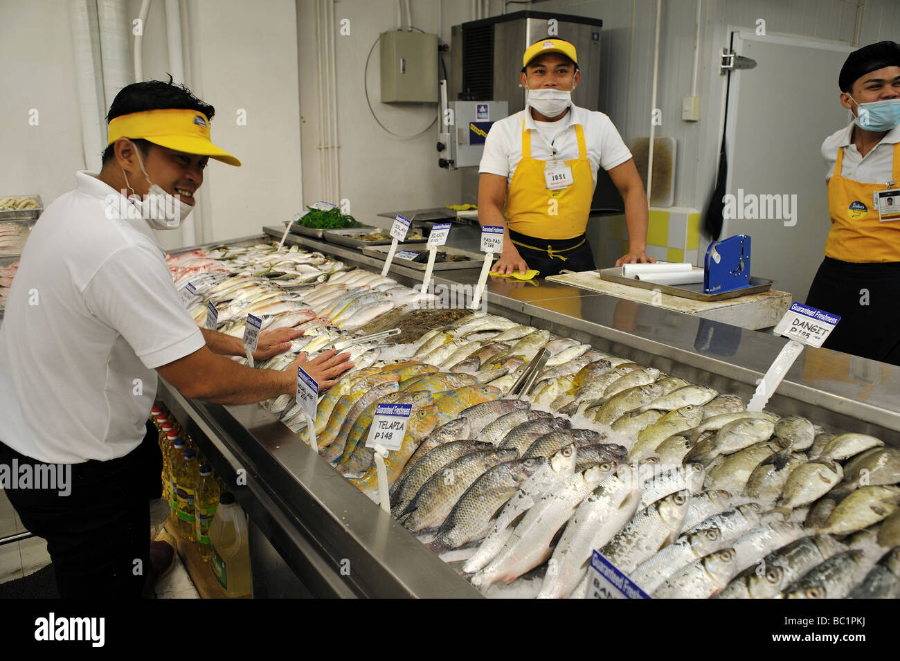 Supermarket Fish Display Stock Photos & Supermarket Fish Display Stock