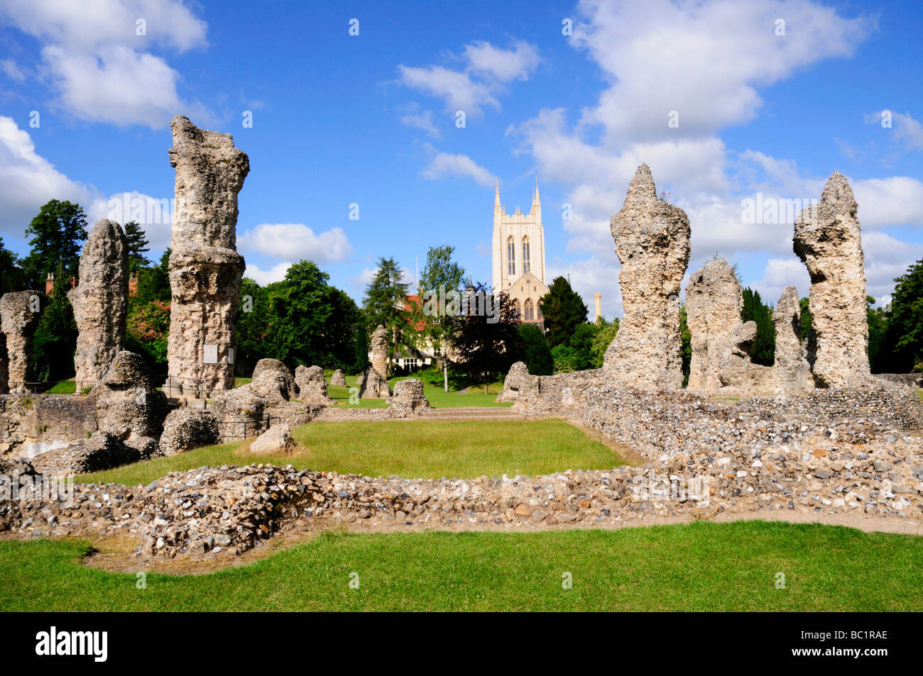 The Abbey Ruins and St Edmundsbury Cathedral, Bury St Edmunds Suffolk England UK Stock Photo