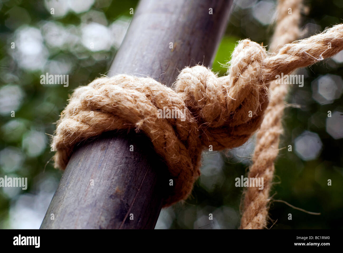Scaffold knot hi res stock photography and images Alamy