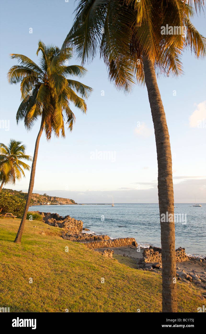 Beach Island Statia Hi res Stock Photography And Images Alamy beach-island-statia-hi-res-stock-photography-and-images-alamy