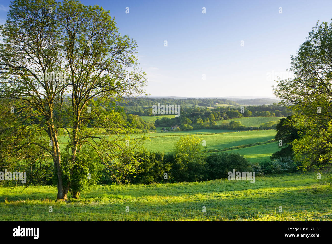 View south from North Downs at Newlands Corner, Surrey, UK Stock Photo