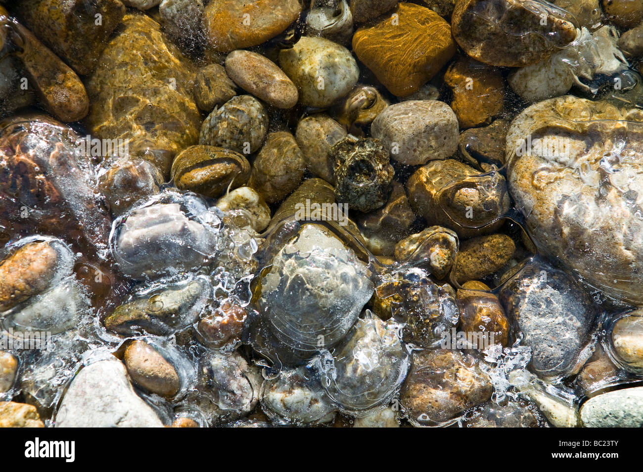 Flat Round Rocks 