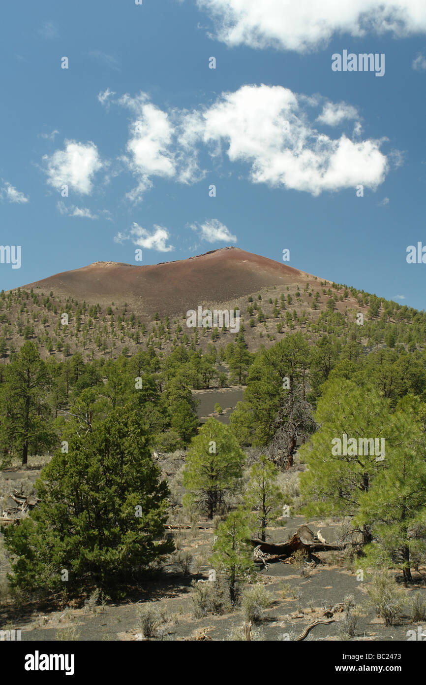 Sunset Crater Volcano National Monument, Flagstaff, Arizona, AZ Stock