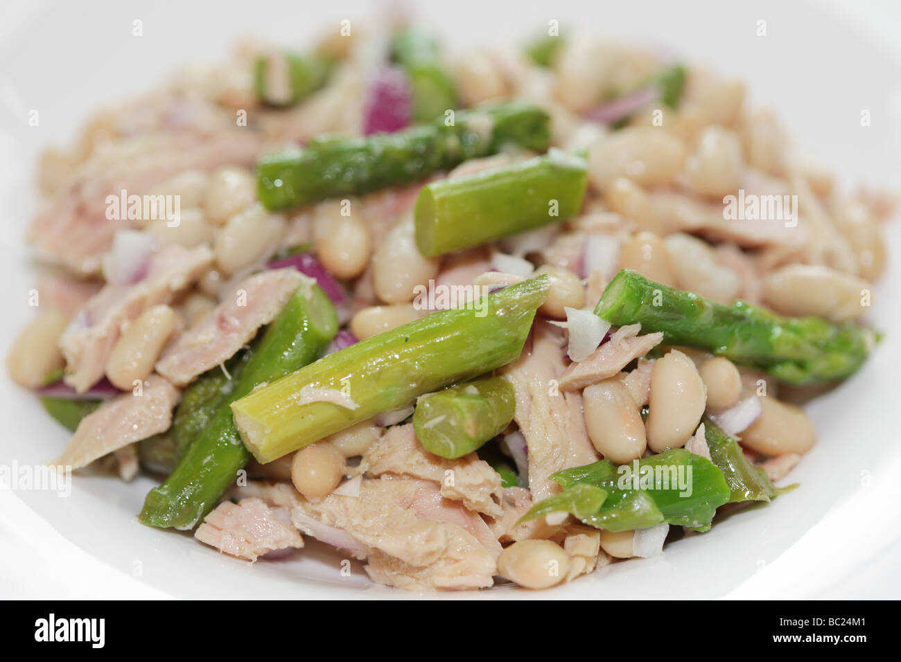 Fresh Healthy Tuna Fish and Asparagus Salad With Cannelloni Beans And