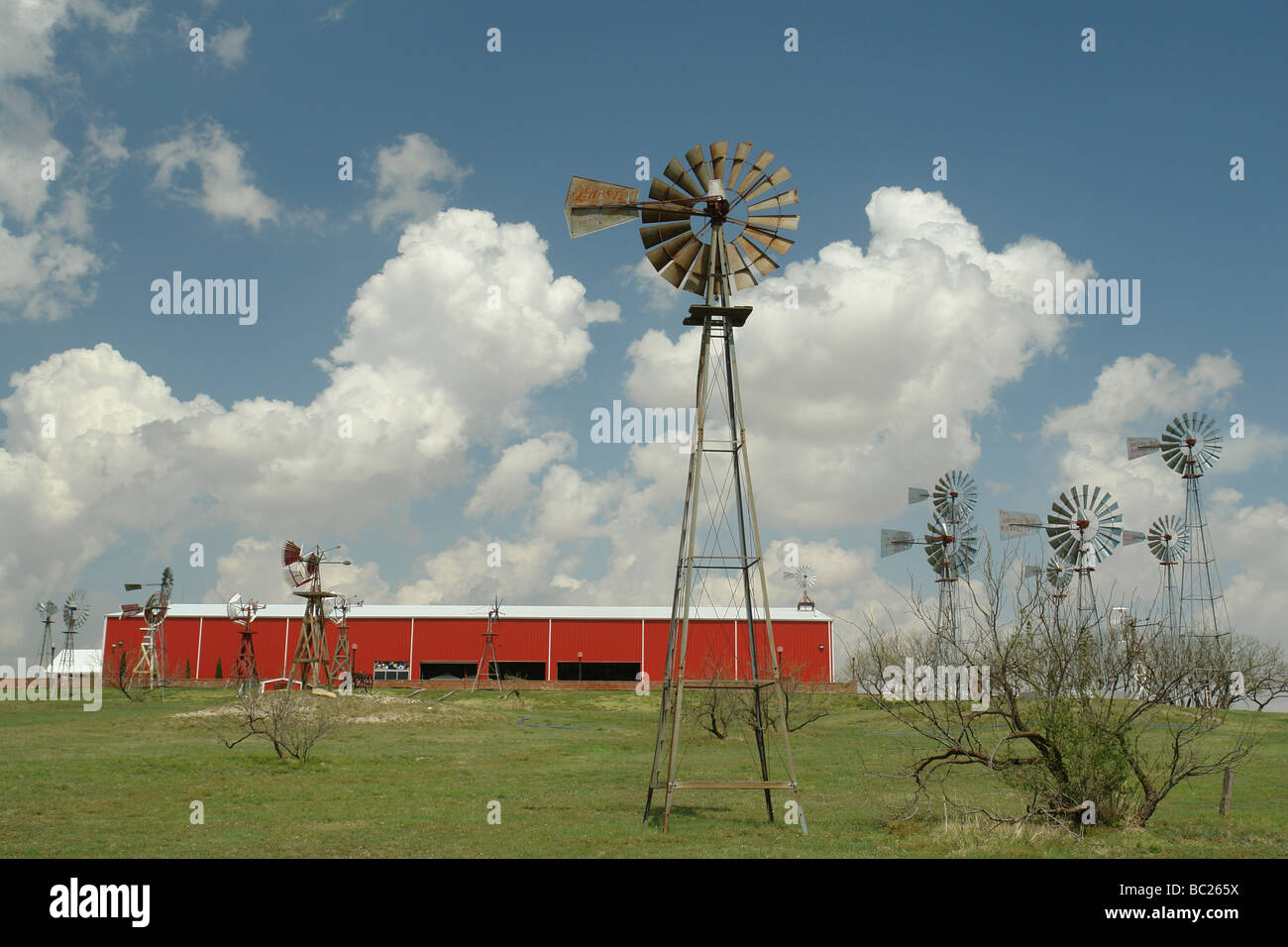Lubbock, Texas, TX Stock Photo