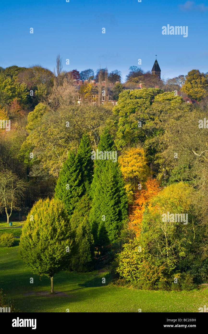 Newcastle tyne autumn trees jesmond dene park hires stock photography