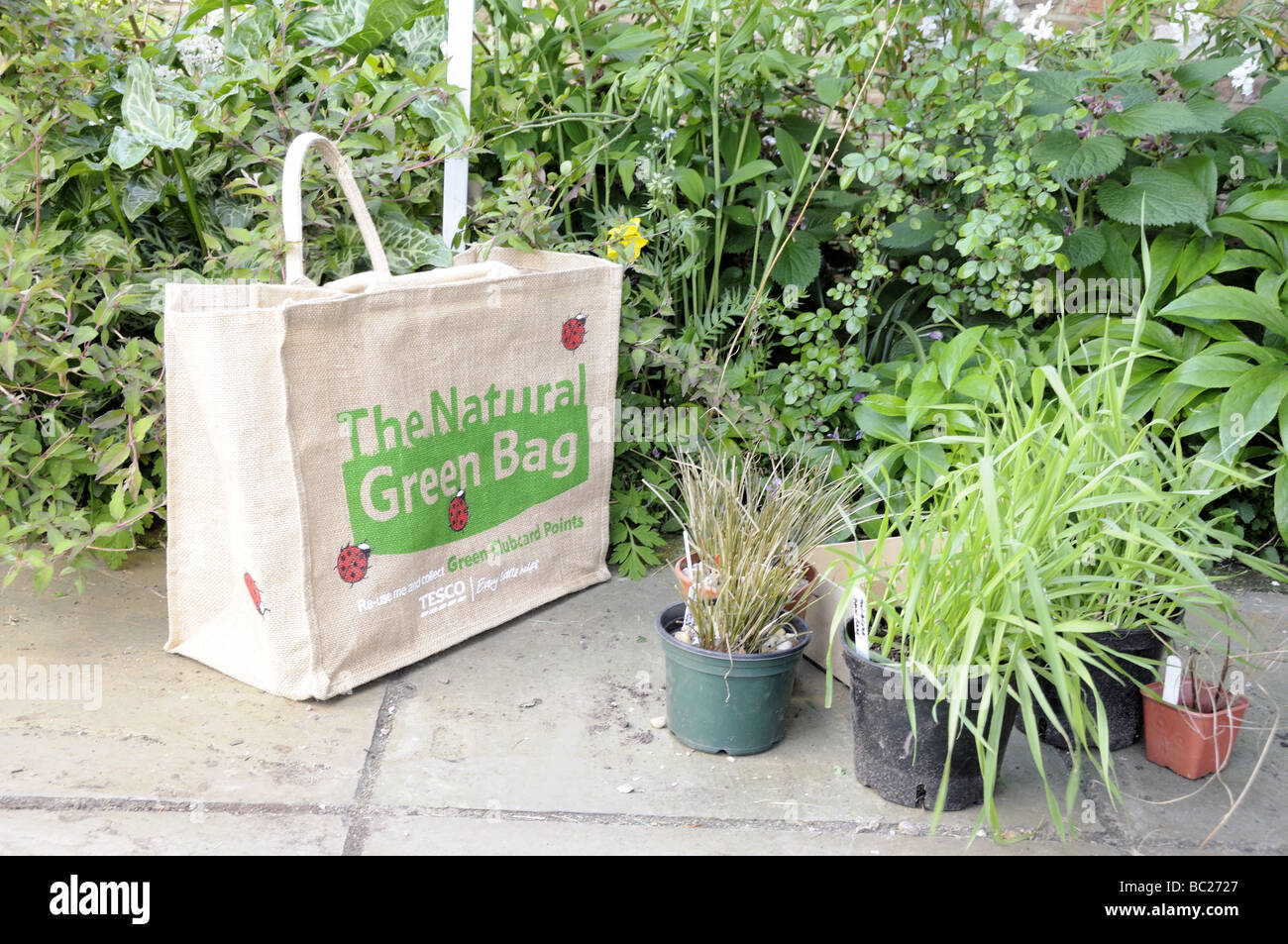 Plants reuse bags recycling recycled shopping shopper bag eco