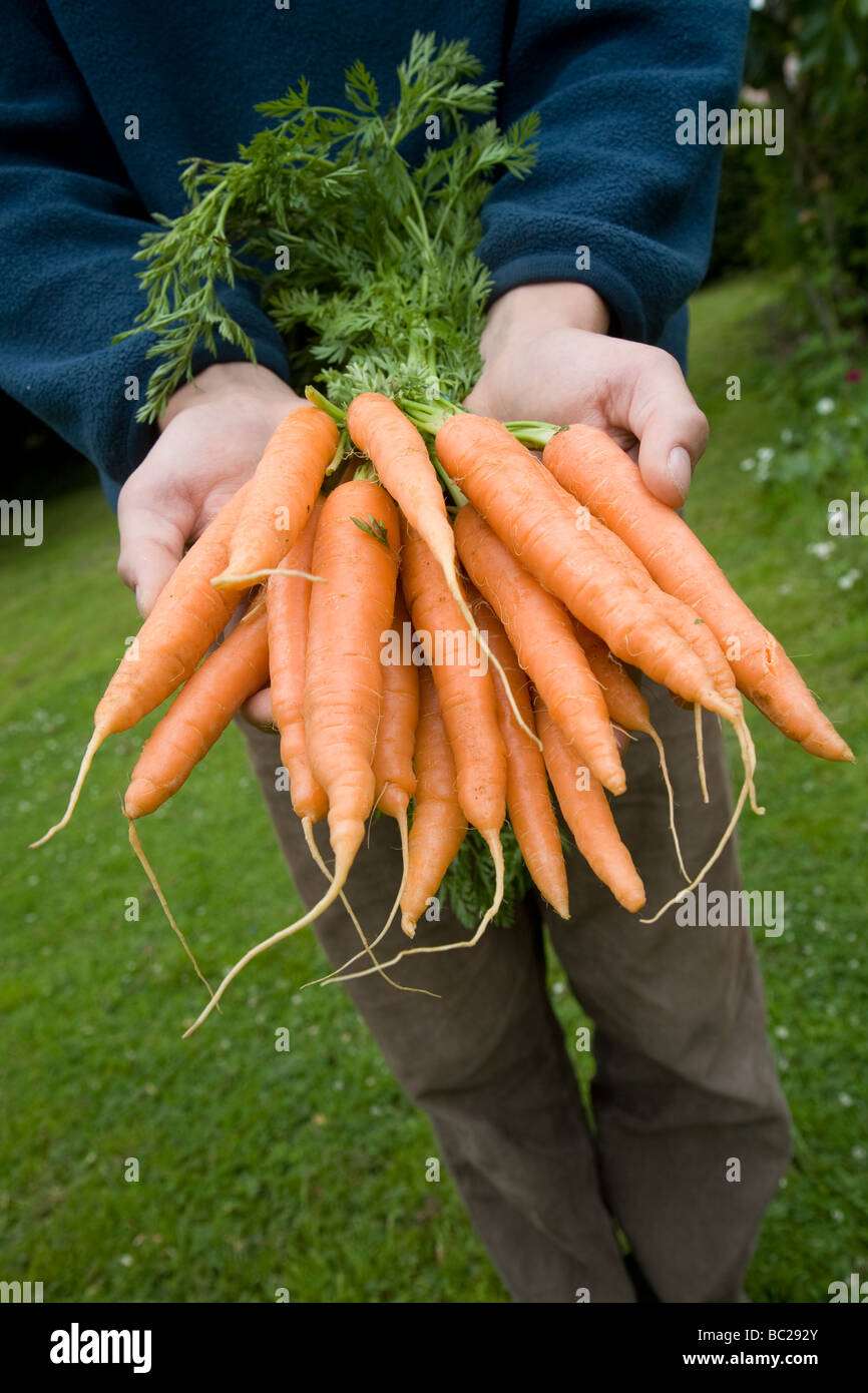 Not for sale hires stock photography and images Alamy