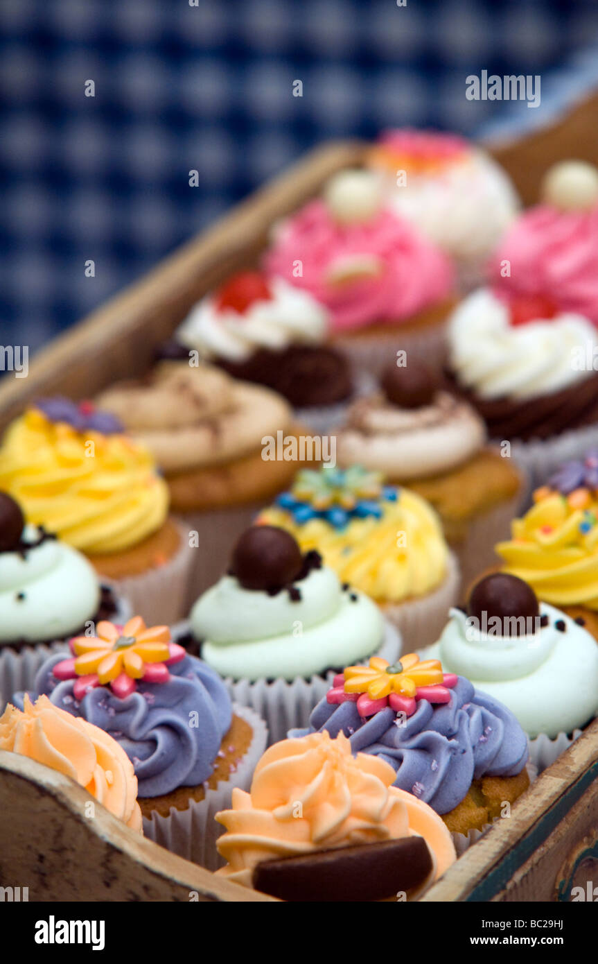 Tray of cup cakes  on display at a Food and Drinks Festival Derbyshire East Midlands England UK Stock Photo