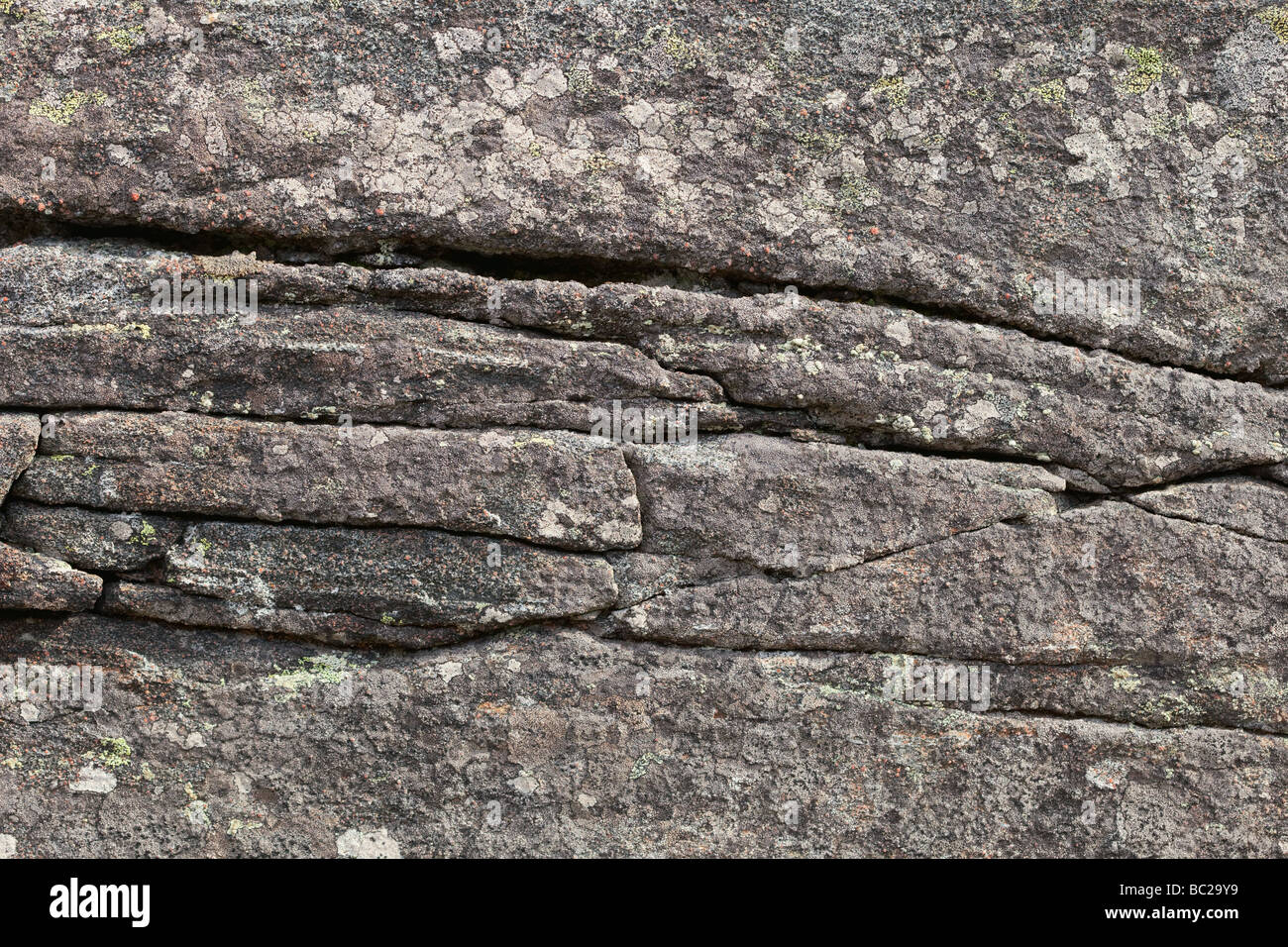 Surface of a granite rock covered with a lichen background Stock Photo
