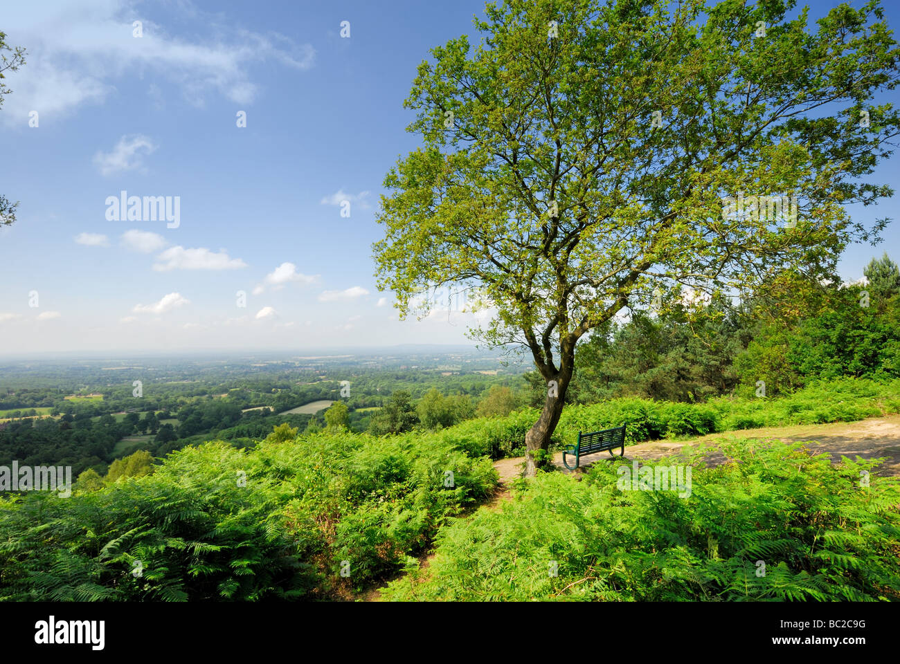 View from top of Pitch Hill, Surrey England Stock Photo