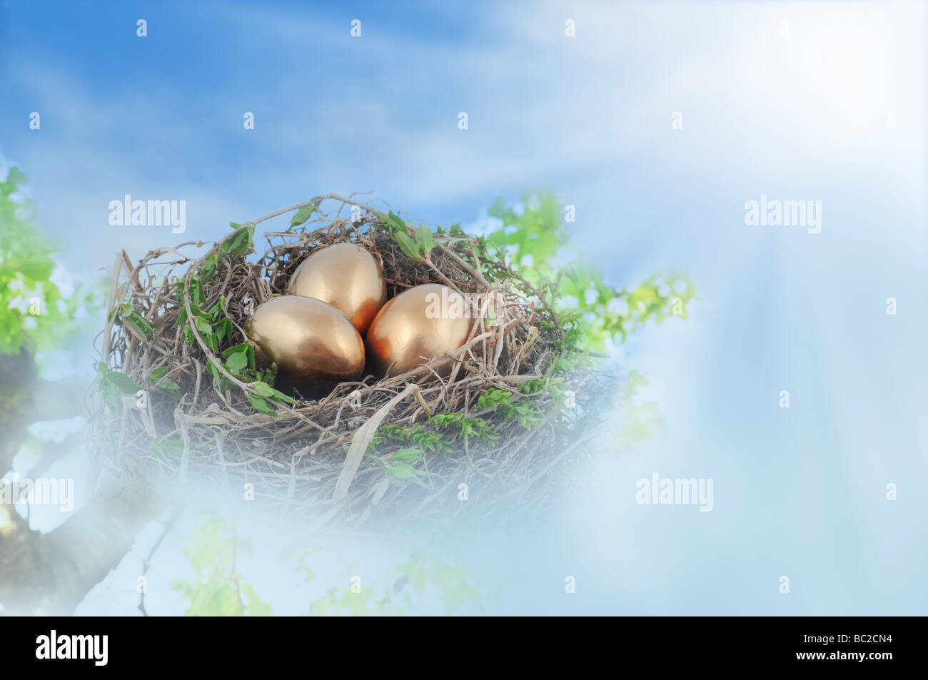 Bird's nest with golden eggs in fog against bright blue sky. Stock Photo